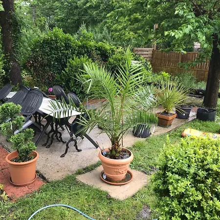 Holiday home Le Petit Jour Classe 3 Etoiles Maison 6 Pers Climatisee - - Bassin D'arcachon *