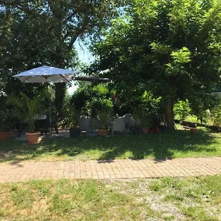 Holiday home Le Petit Jour Classe 3 Etoiles Maison 6 Pers Climatisee - - Bassin D'arcachon *
