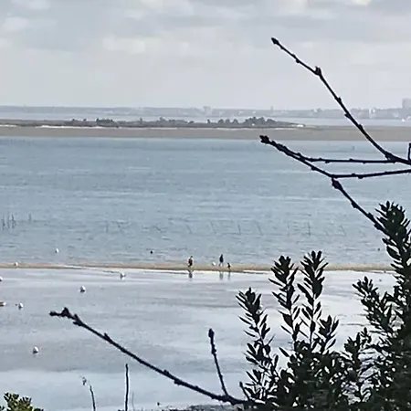 Le Petit Jour Classe 3 Etoiles Maison 6 Pers Climatisee - - Bassin D'arcachon *