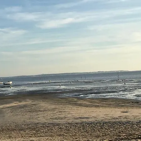 Holiday home Le Petit Jour Classe 3 Etoiles Maison 6 Pers Climatisee - - Bassin D'arcachon