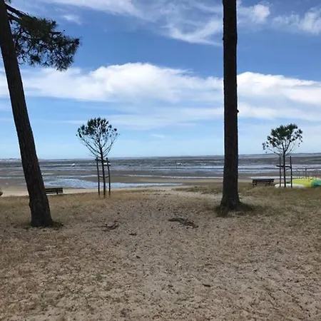 Le Petit Jour Classe 3 Etoiles Maison 6 Pers Climatisee - - Bassin D'arcachon Holiday home